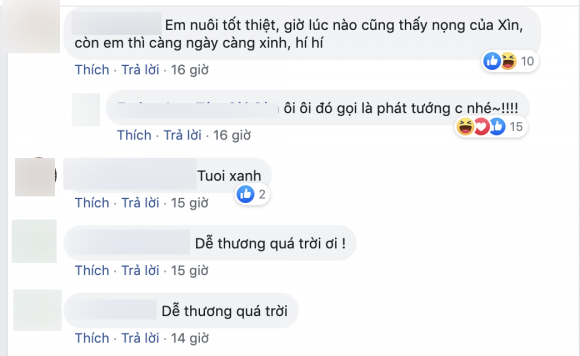 Trấn Thành, hari won, sao Việt